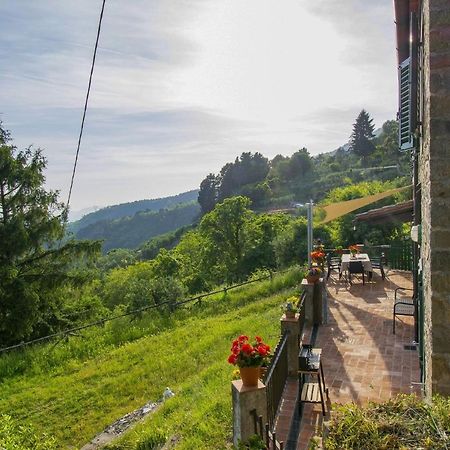Casa Serena Villa Petrognano  Eksteriør billede
