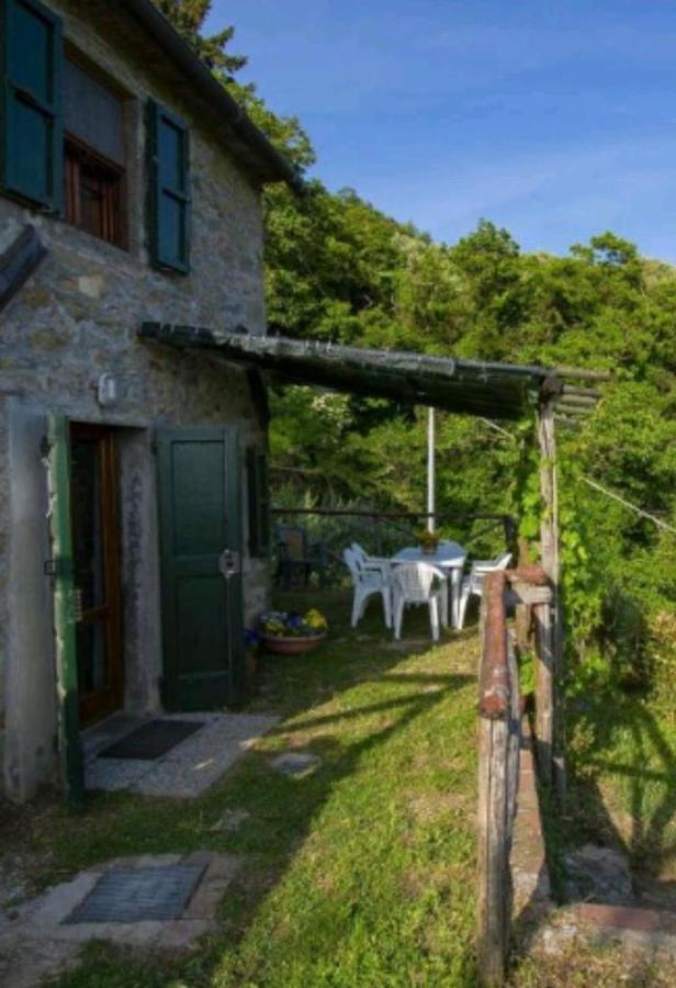 Casa Serena Villa Petrognano  Eksteriør billede
