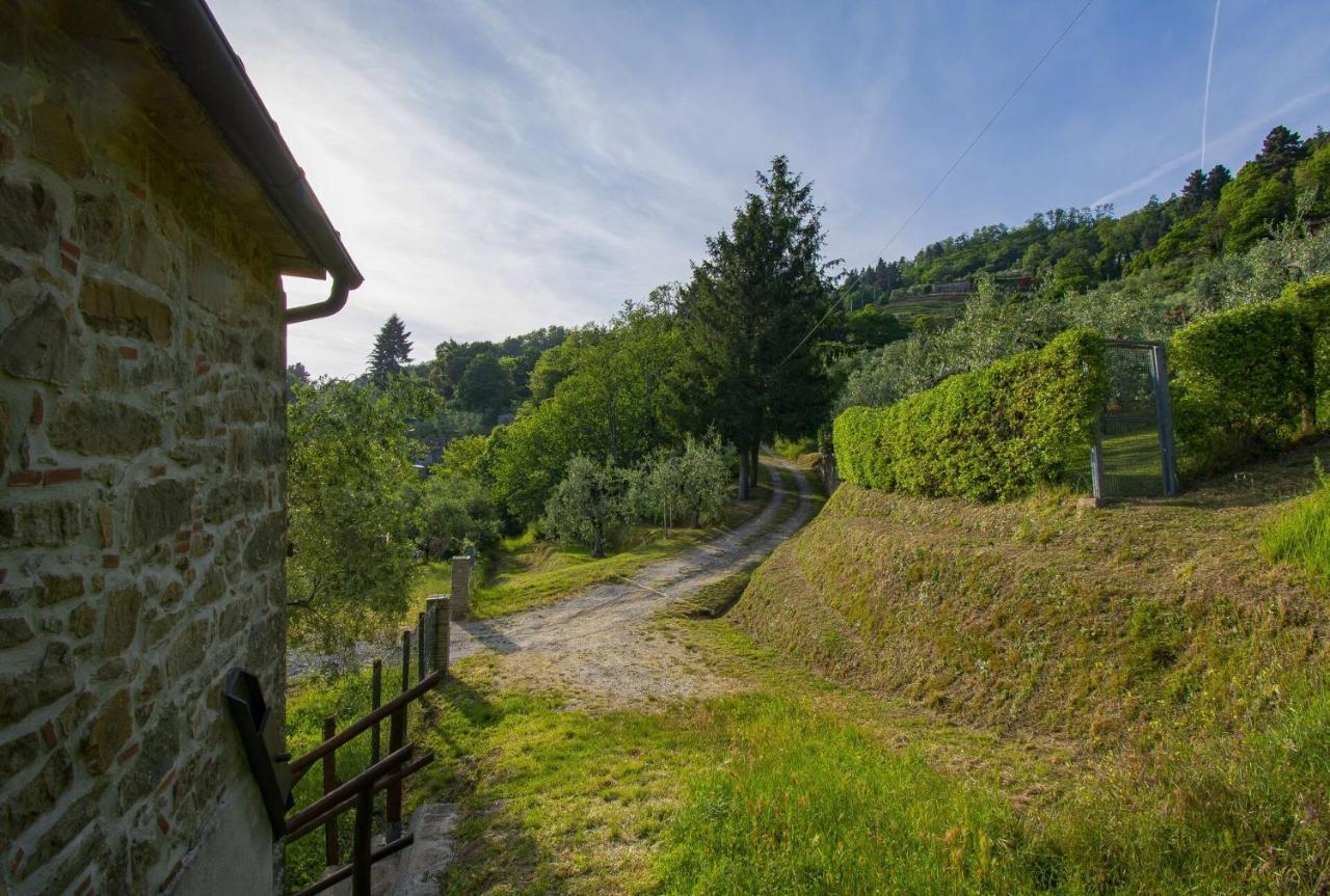 Casa Serena Villa Petrognano  Eksteriør billede