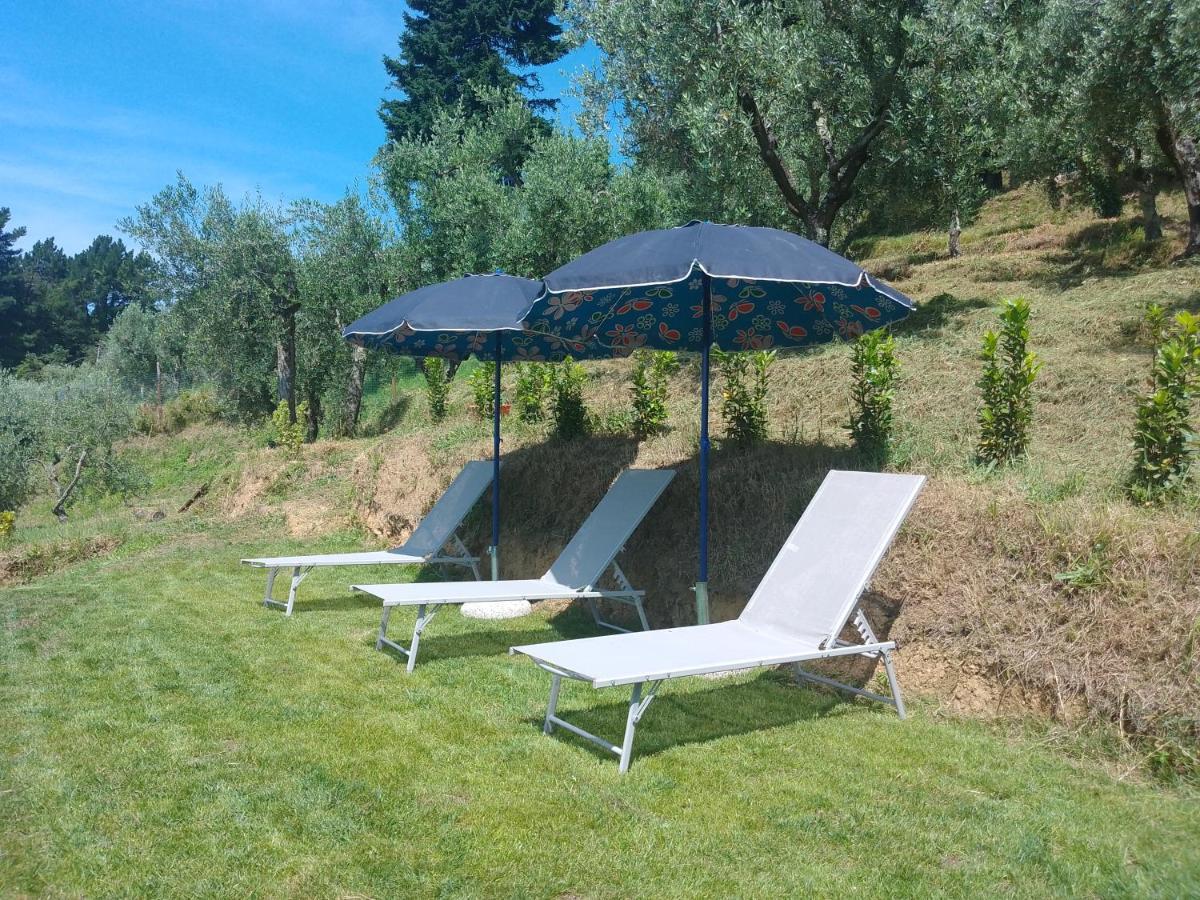 Casa Serena Villa Petrognano  Eksteriør billede