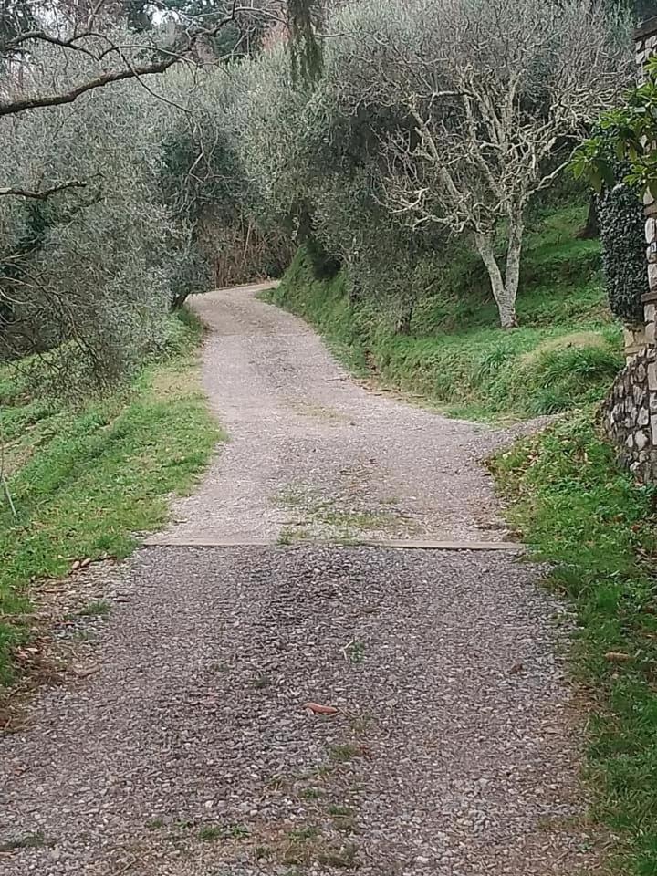 Casa Serena Villa Petrognano  Eksteriør billede
